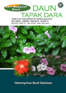 cover buku