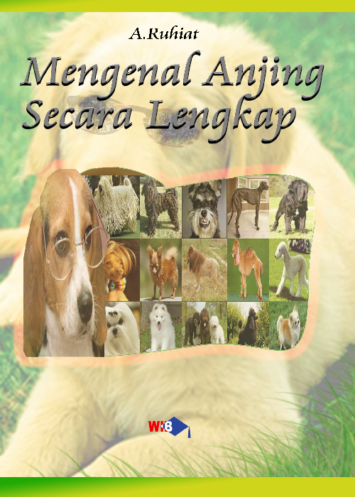 cover buku
