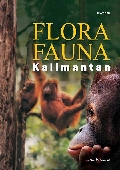 cover buku