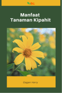 cover buku