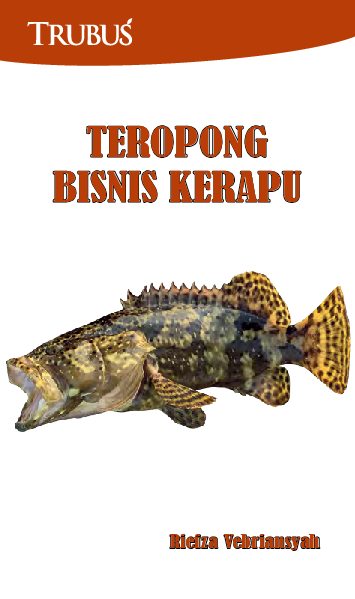 cover buku