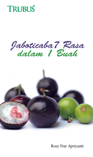 cover buku
