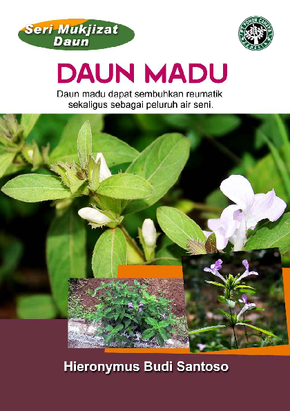 cover buku