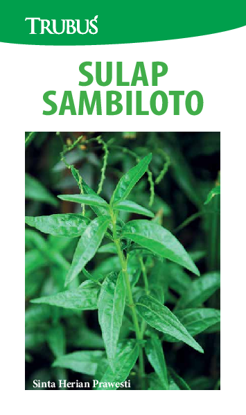 cover buku
