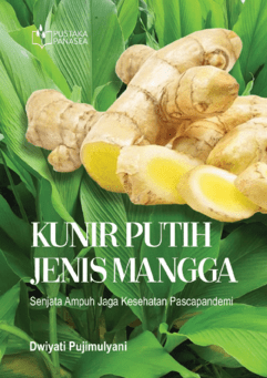cover buku