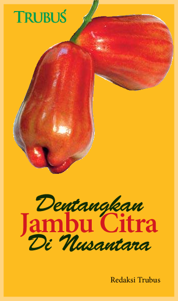 cover buku