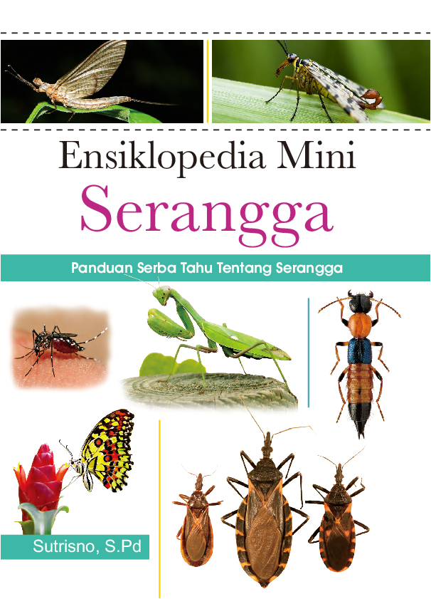 cover buku